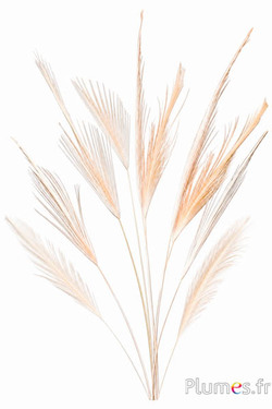Kranich - gebleicht - 16-20 cm - creme